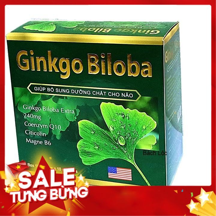 Viên Uống Bổ Não Ginkgo Biloba 240mg Hộp 100 Viên Hộp Xanh Lá Hộp