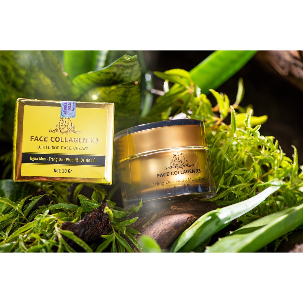 KEM FACE COLLAGEN X3 Shopee Việt Nam
