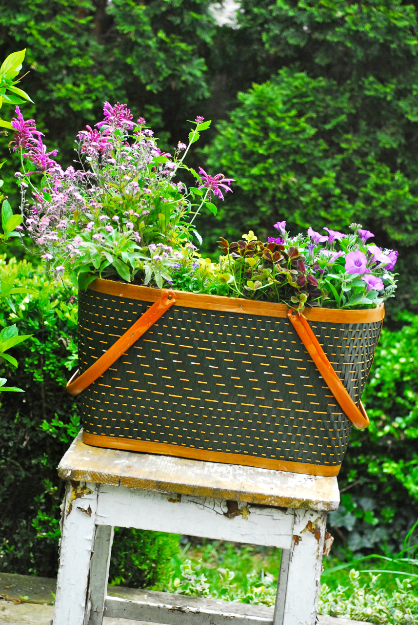 Picnic Basket Planter Family Chic by Camilla Fabbri ©20092018. All