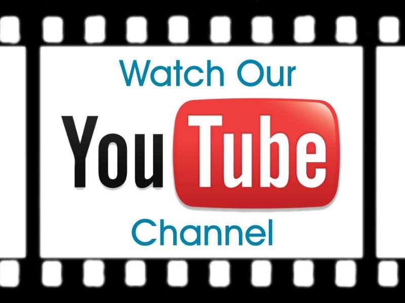 Michael Fenrir Canine and Feline Behaviour Association