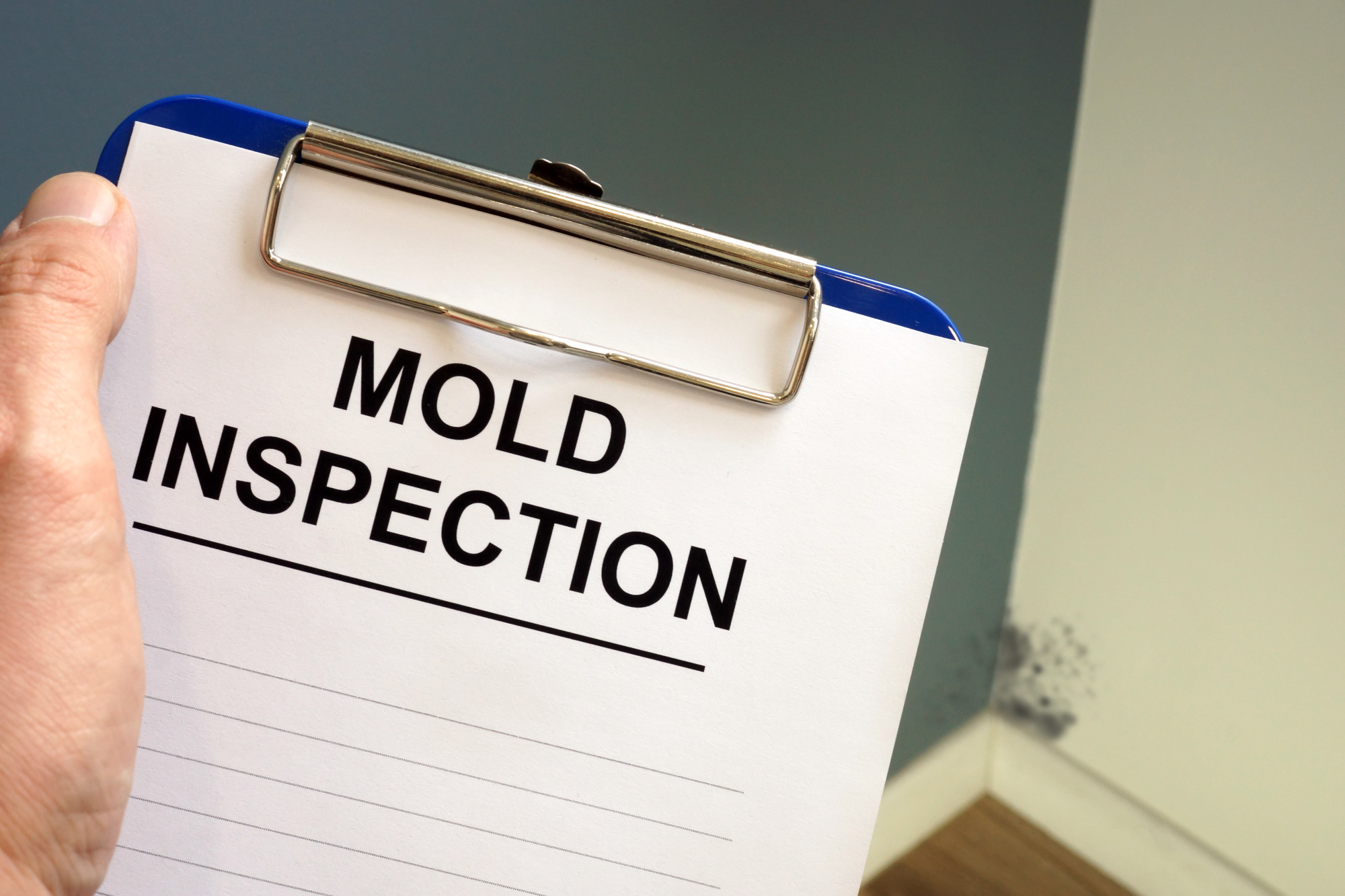 12 Things to Look for During a PreDrywall Inspection
