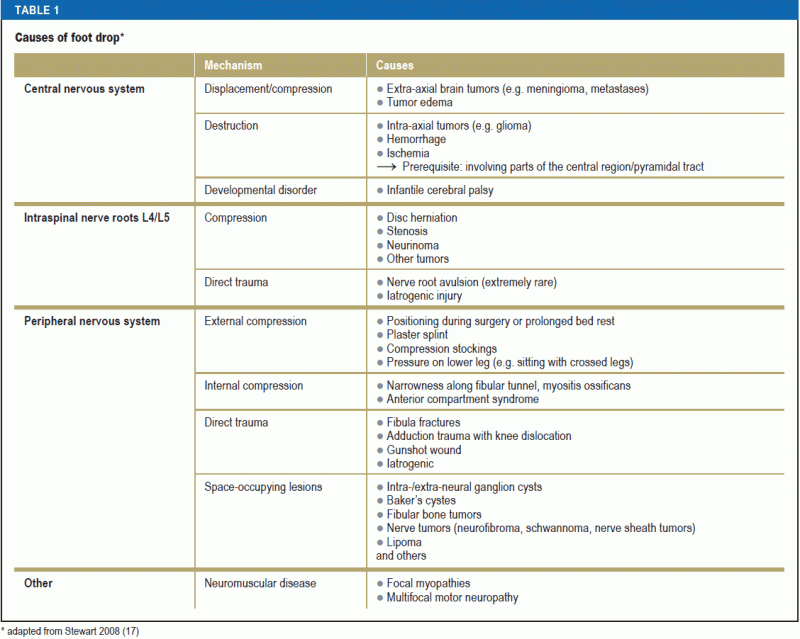 The Interdisciplinary Management of Foot Drop (17.05.2019)