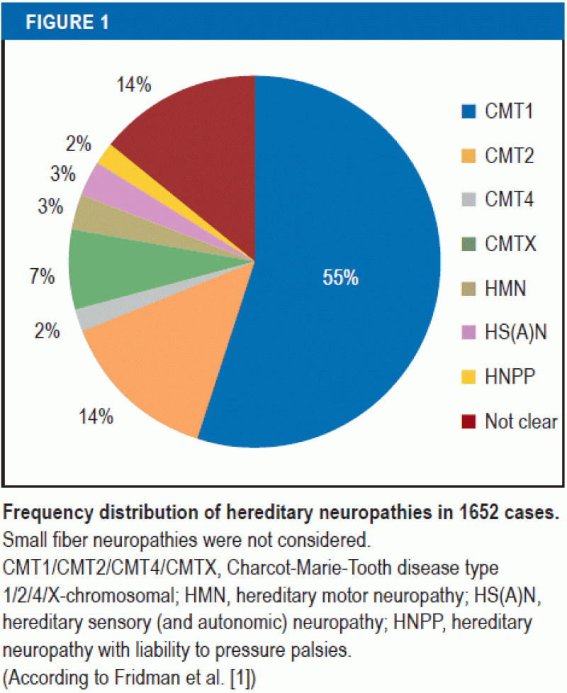 Hereditary Neuropathies (09.02.2018)