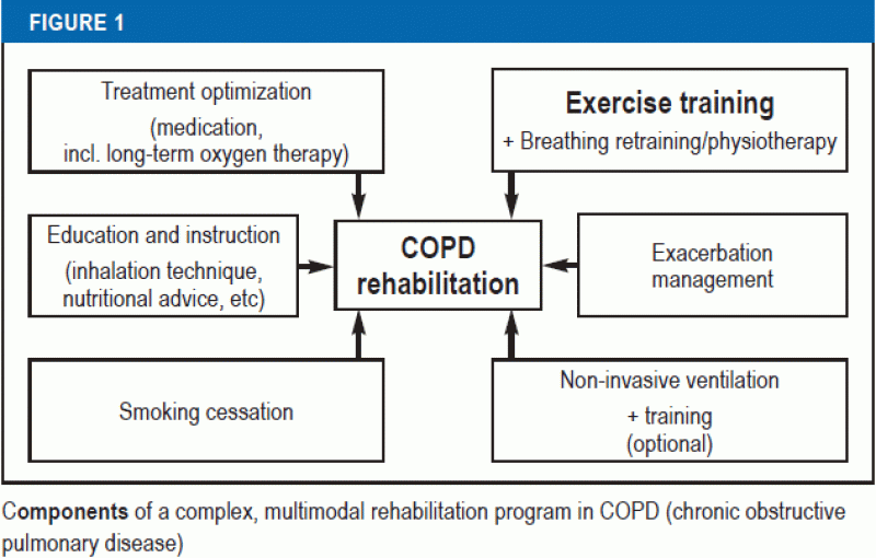Pulmonary Rehabilitation and Exercise Training in Chronic Obstructive