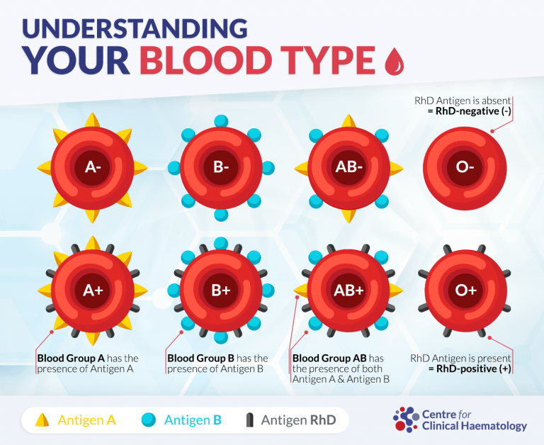 All About Blood Donation CFCH Centre for Clinical Haematology