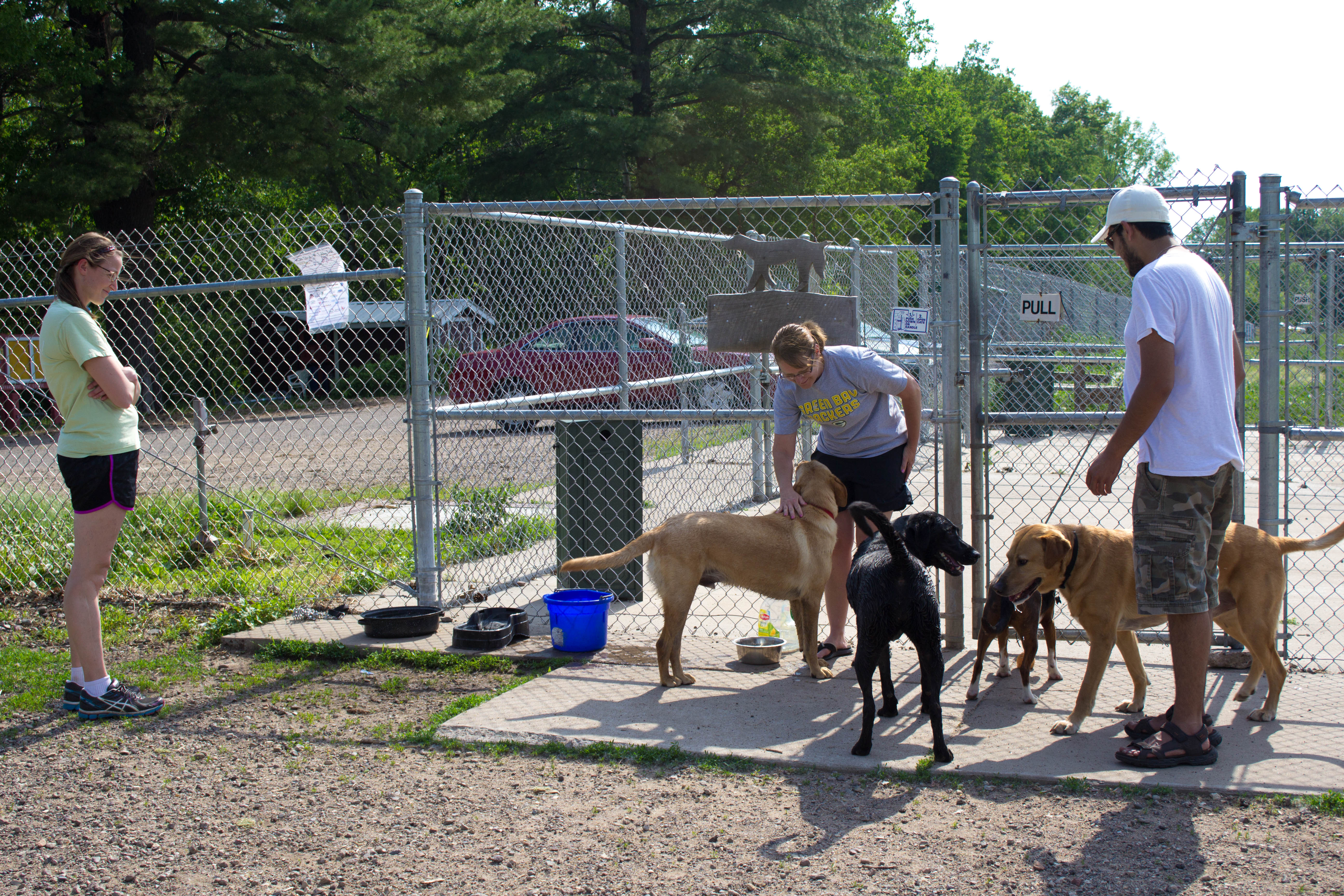 Grant Flashback Menomonie Off Leash Dog Park Community Foundation of
