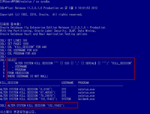 Oracle Database [오라클] Session Kill Script