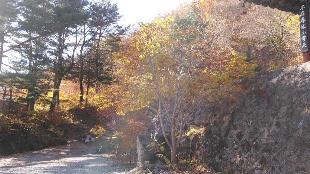 일월산 천화사로 갑니다.