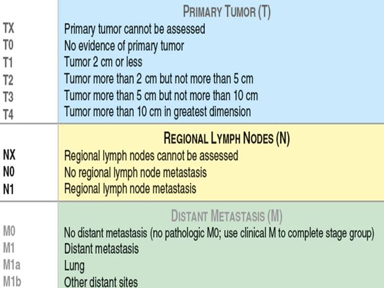 Changes in AJCC cancer staging 7th edition (2)