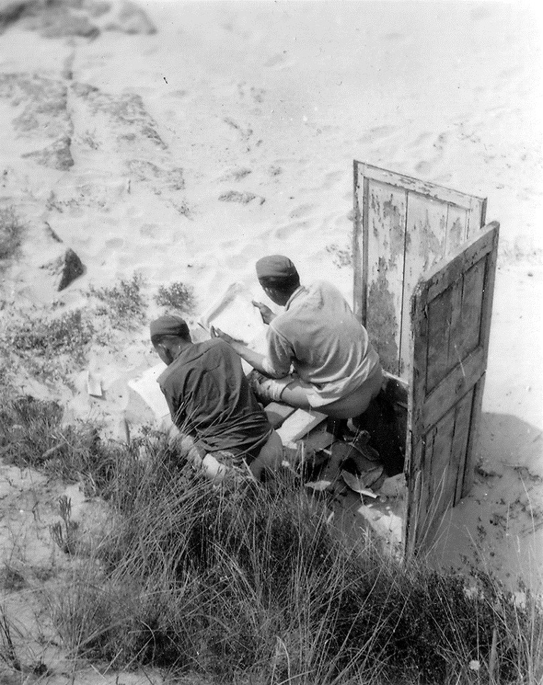 BEMIL 사진 자료실 유용원의 군사세계