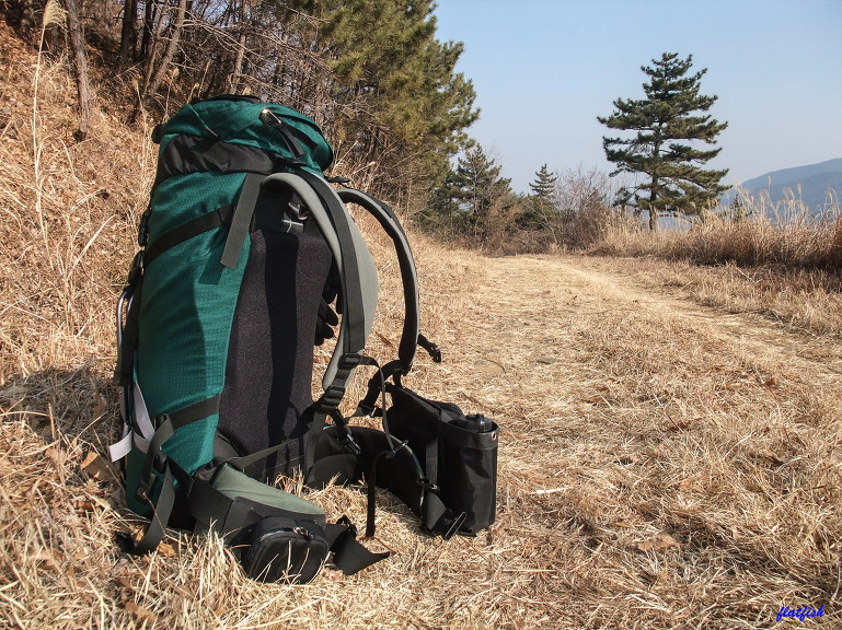 다나디자인 봄팩(dana design bomb pack)