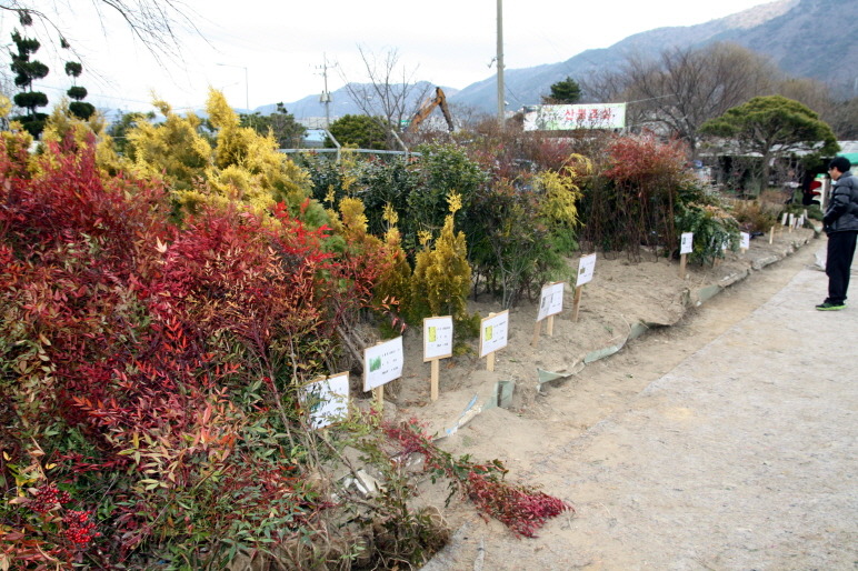산림조합의 나무시장을 가다