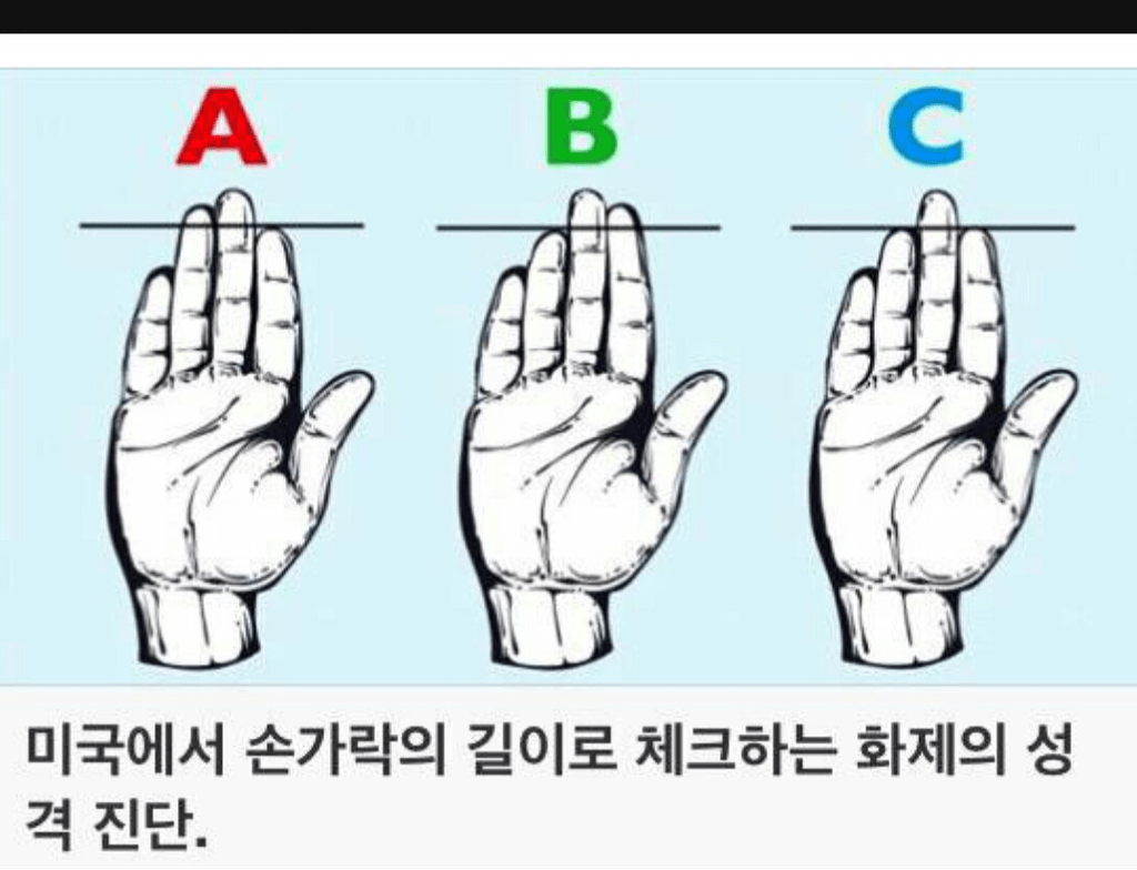 손가락 길이로 보는 성격유형