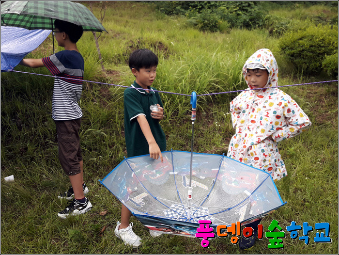 비오는 날 숲체험 그건 최고랍니다^^