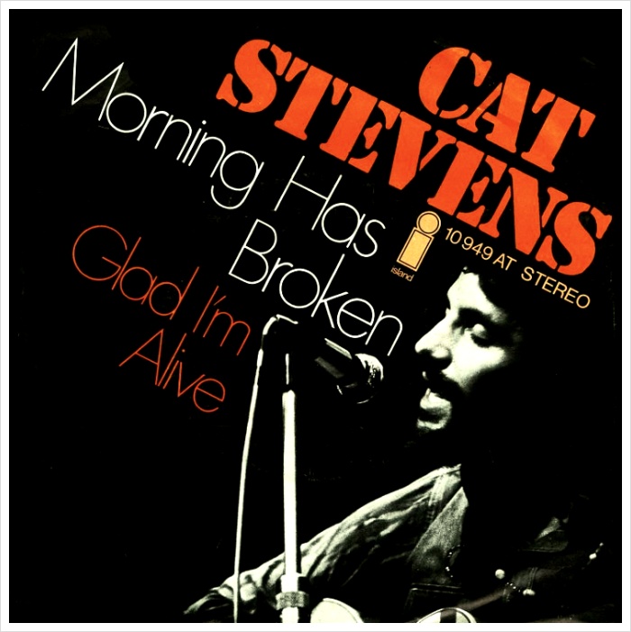 시간의 틈 사이로 우리는 영원같은 한 순간을 스치고 Morning Has Broken Cat