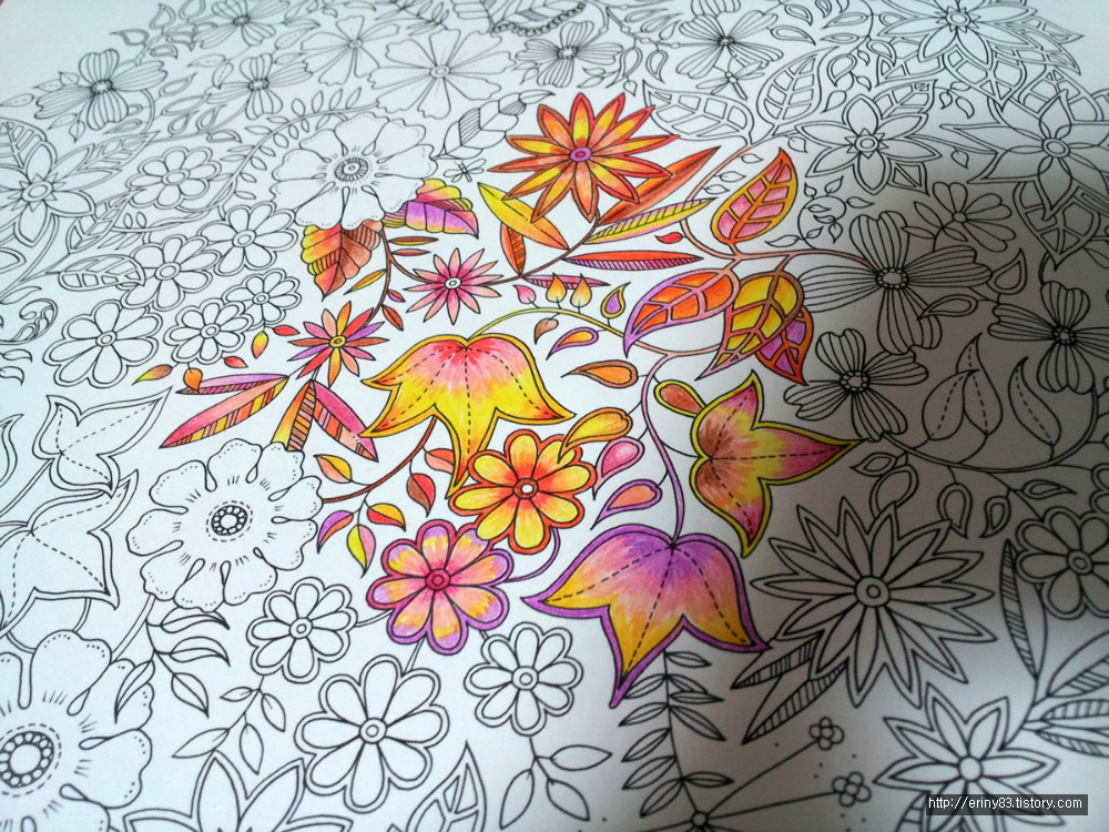 [비밀의 정원]색칠공부를 하고 있습니다 ㅋㅋㅋㅋ