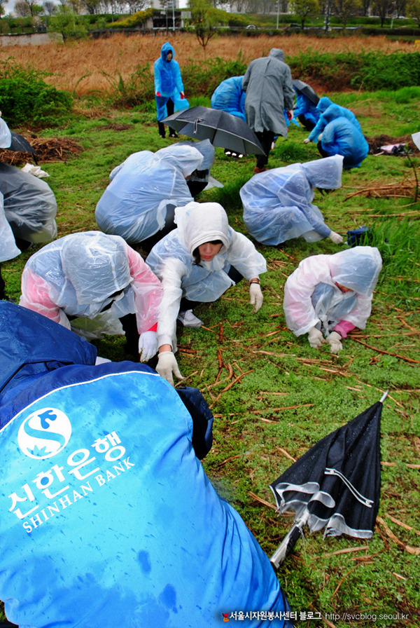 서울시자원봉사센터 블로그