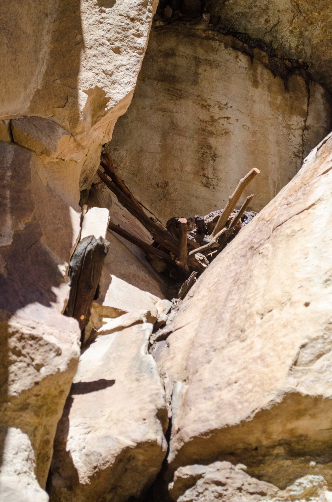 Range Creek Utah Archaeology Trip Canyonlands Field Institute