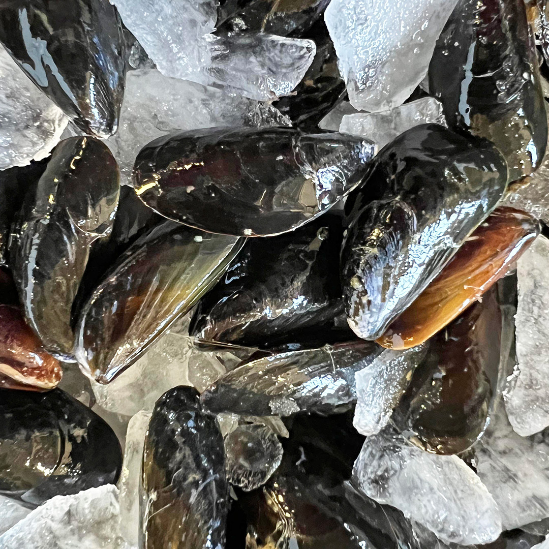 A Guide To Keeping Your Shellfish Fresh For As Long As Possible