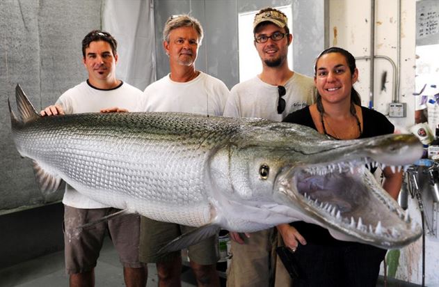 Massive 327 Pound Alligator Gar Measures Over 8 Feet Long | Cflas