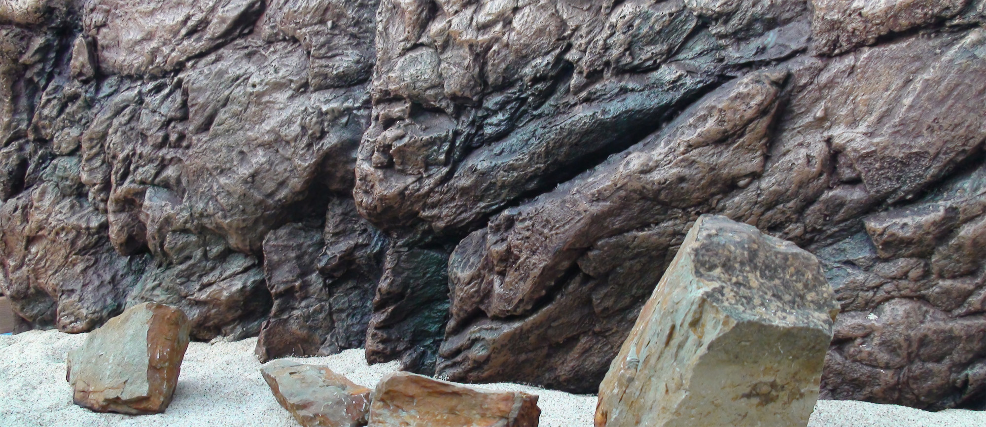 DIY 3D Aquarium Background (PETG) CFLAS