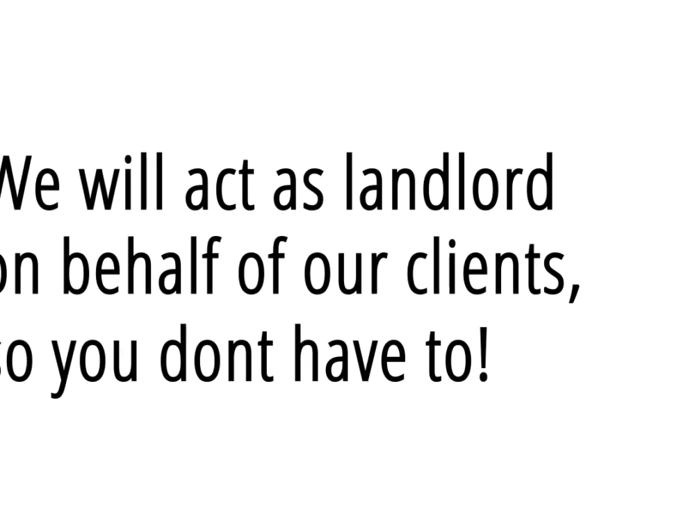 How Much Should Rental Property Owners Charge for a Pet Deposit