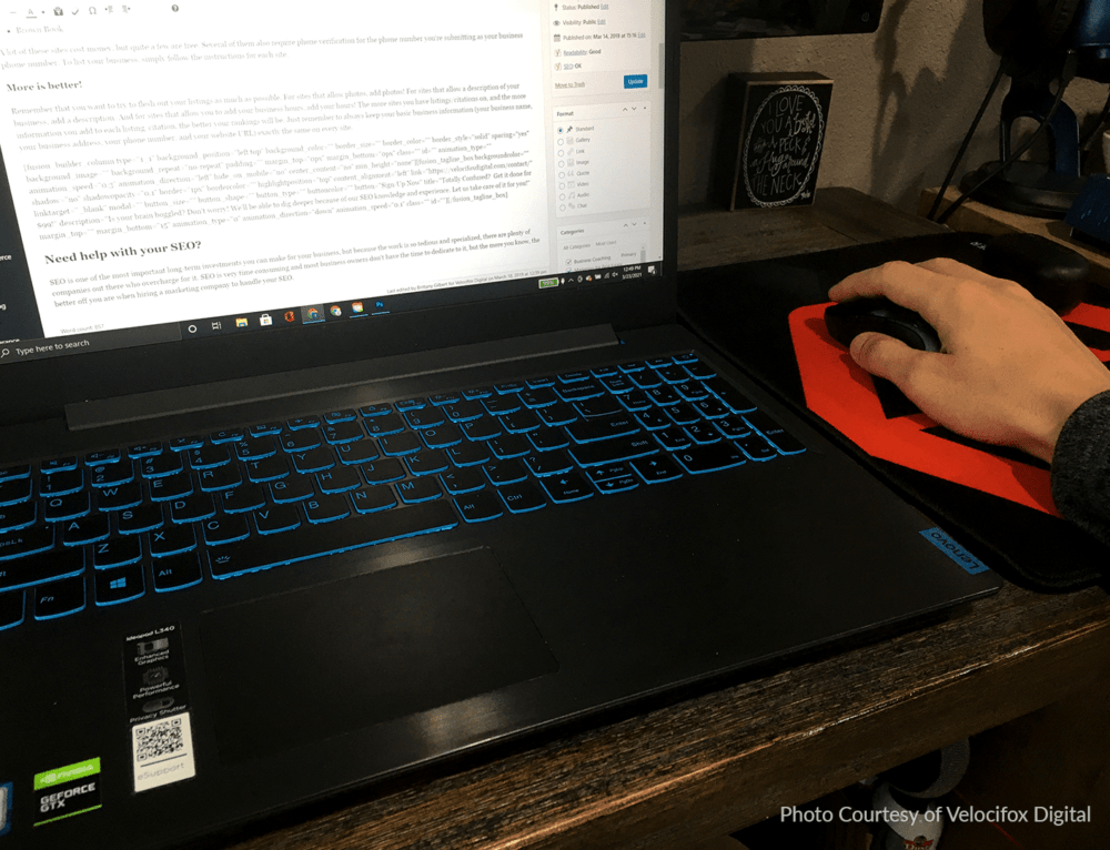 How Much Should Rental Property Owners Charge for a Pet Deposit