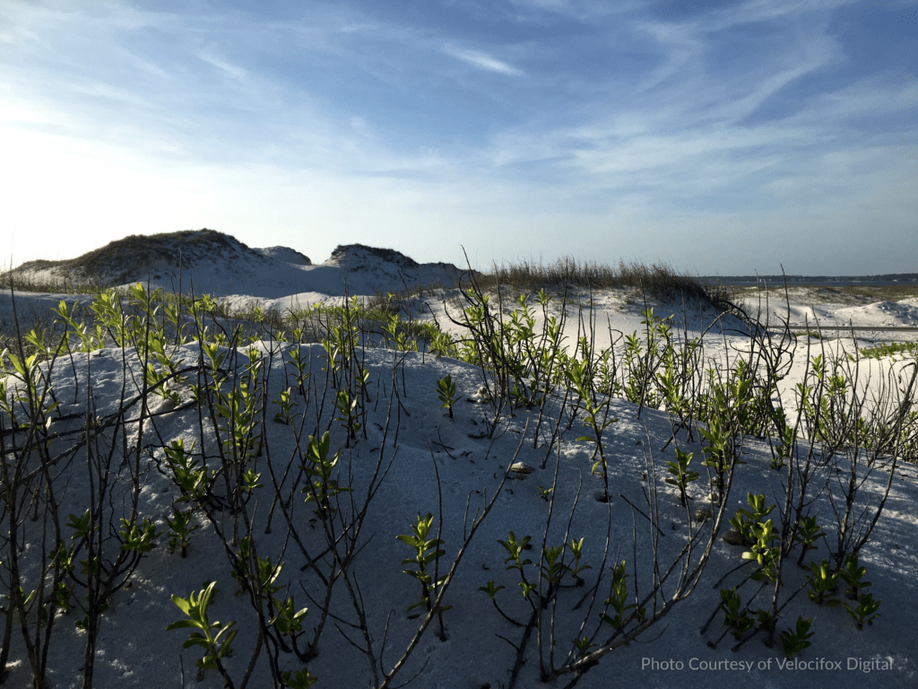 Is Rental Real Estate a Good Investment During High (and Rising) Inflation? Central Florida