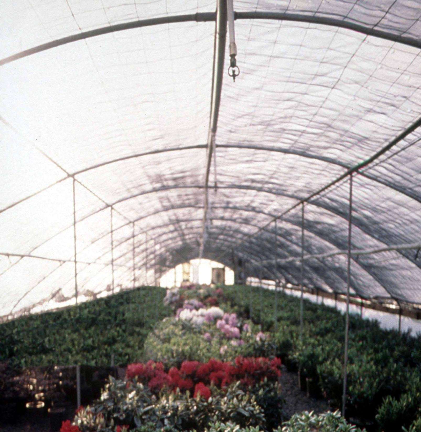 Scapa Introduces UV Resistant Polyethylene Film