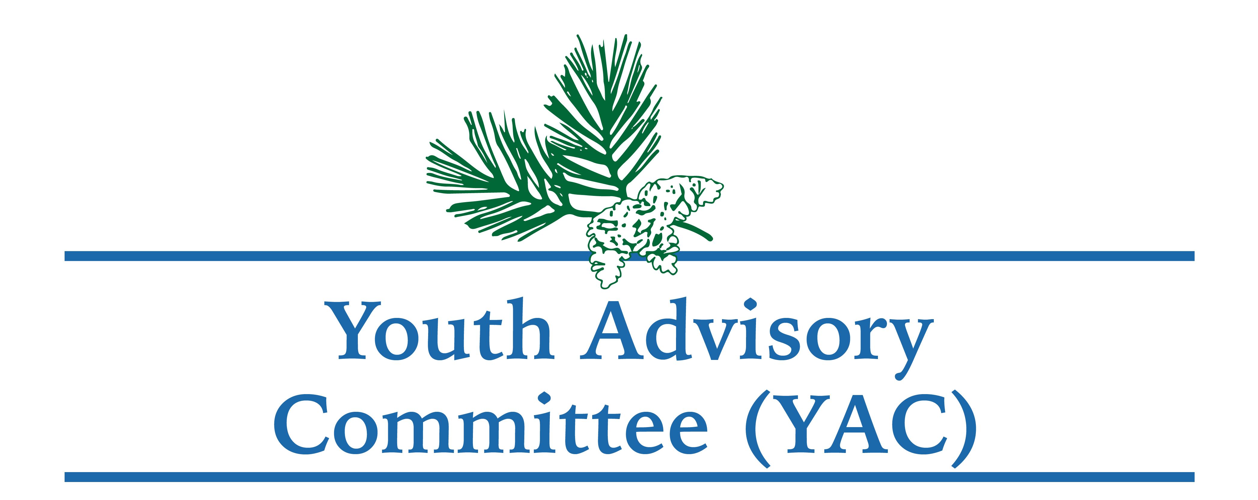 Youth Advisory Committees Community Foundation of Marquette County