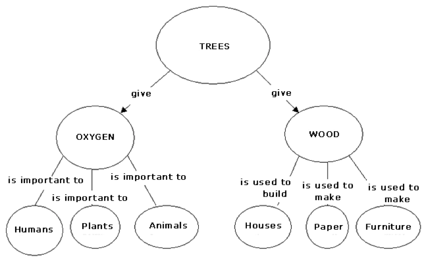 Taxonomy Concept Map Answer Key Zip Code Map