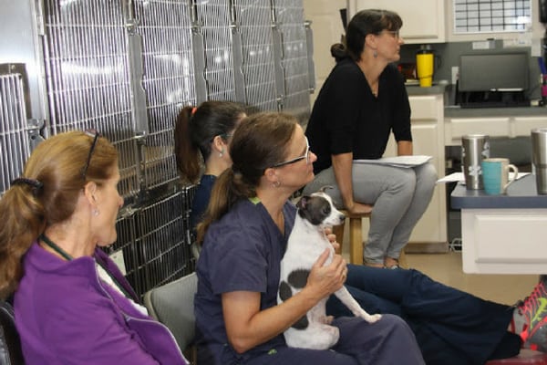 3 Country Friends Veterinary Clinic