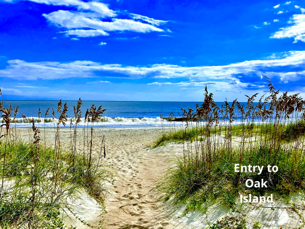 Introducing Local Artist, Johnny Robertson Cape Fear Voices/The Teen