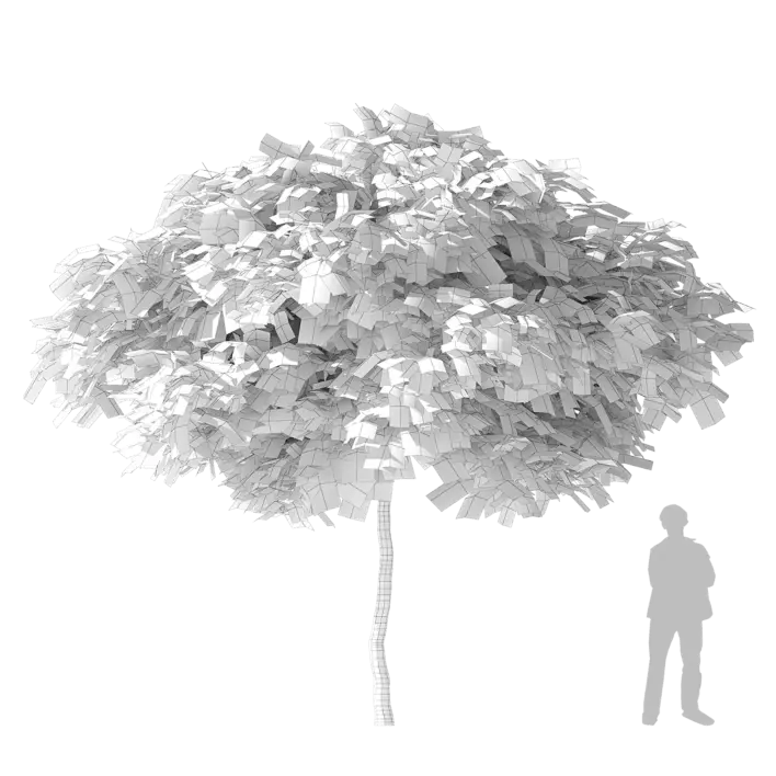 Silk Tree 3d model