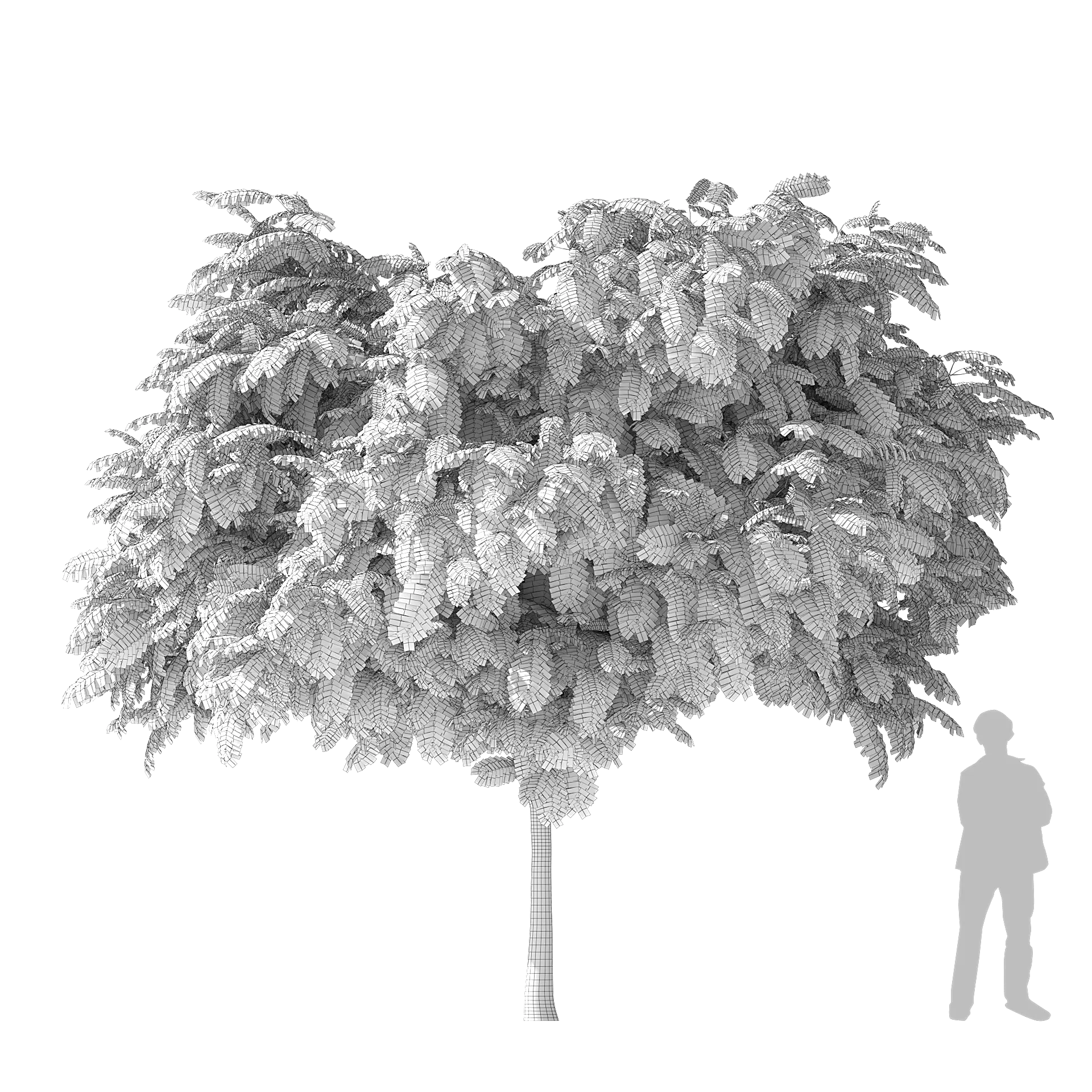 Silk Tree 3d model