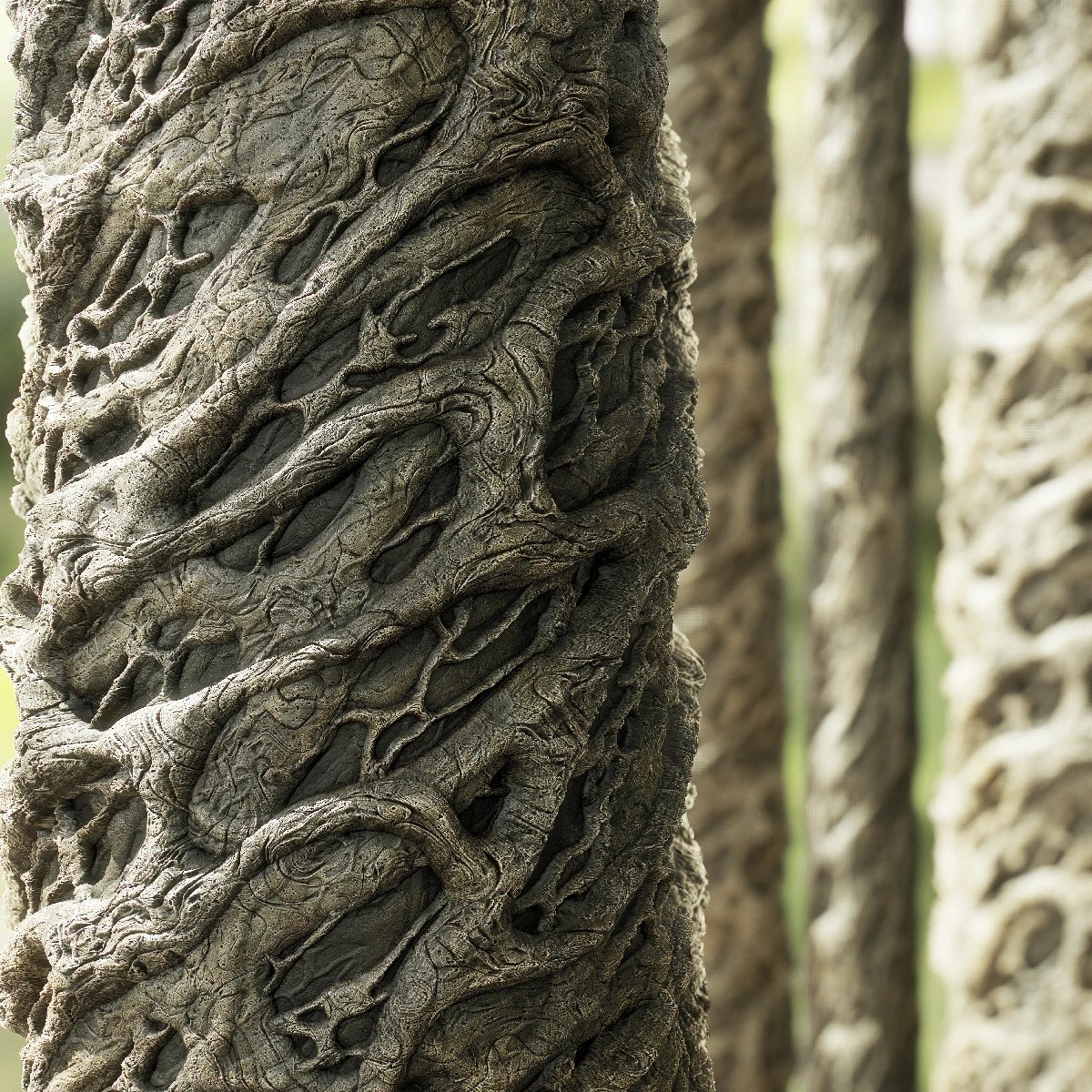 Fig Tree Bark PBR Texture