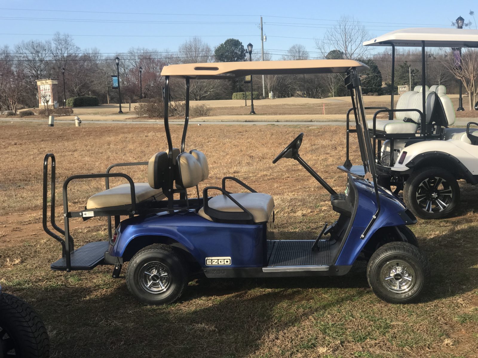 Rentals Custom Golf Carts