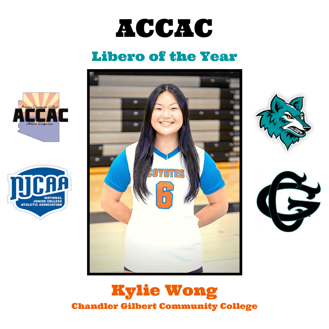 Volleyball Wins Big Awards ChandlerGilbert Community College Athletics