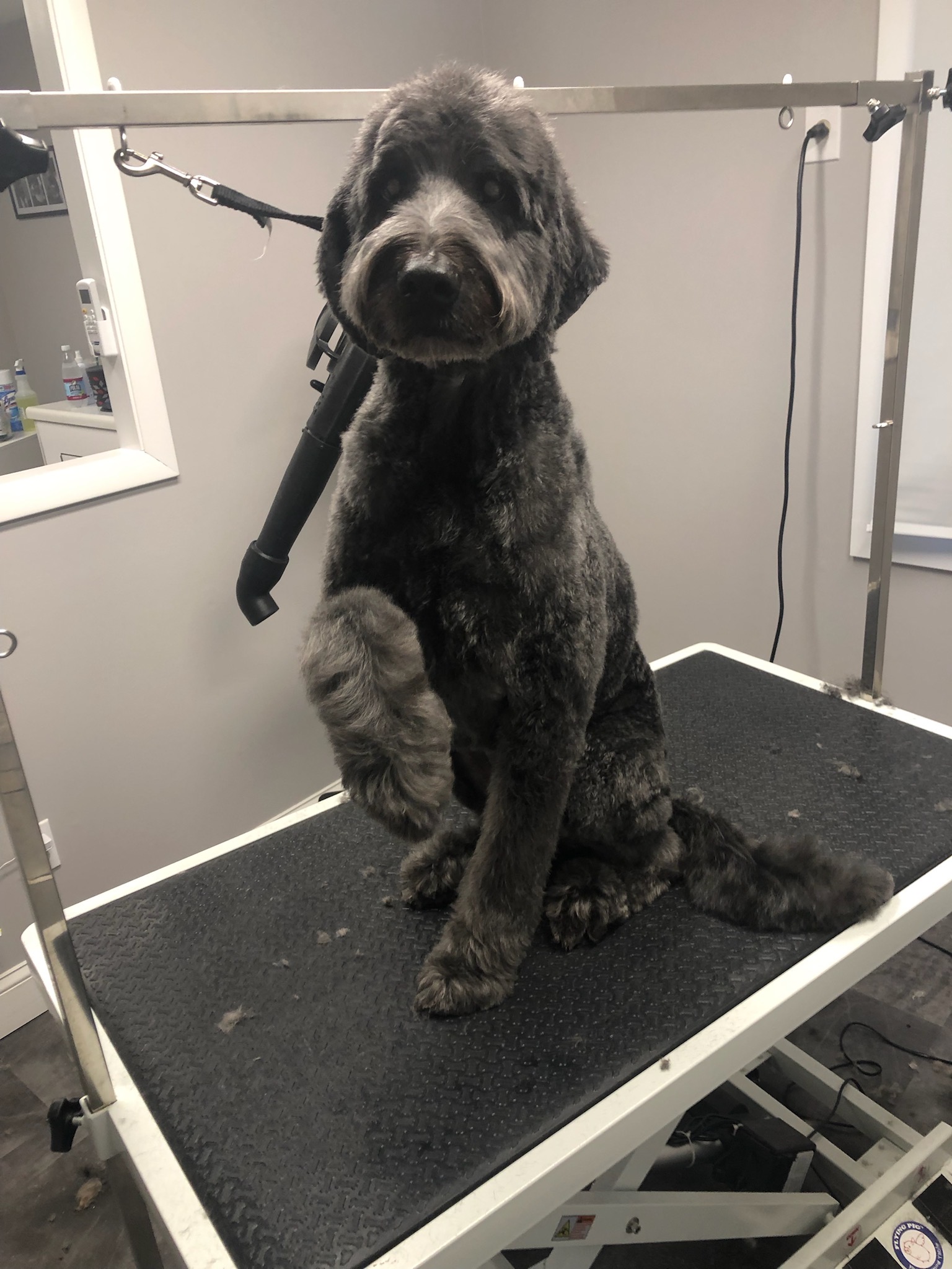 About Me CG Grooming Company, LLC