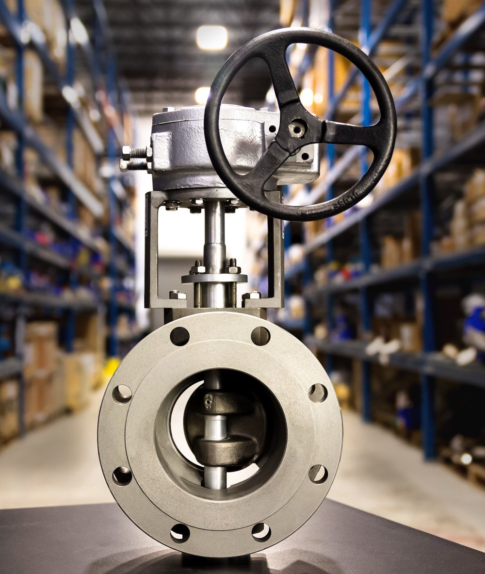 Adams • CGIS Valves, Actuators & Accessories for Severe Service