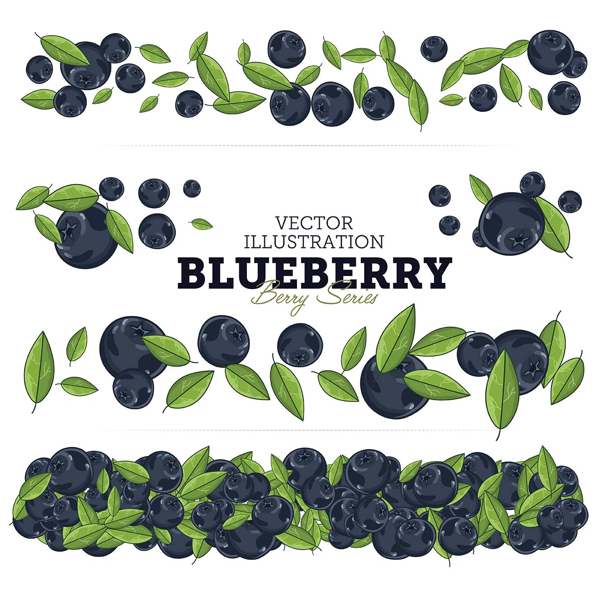 Blueberry vector illustration set Free download