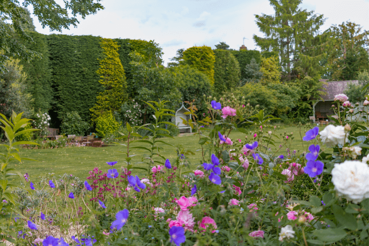 Bovingdon Green CGLA