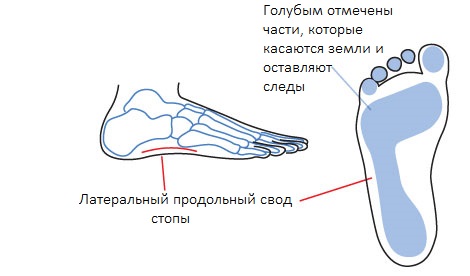 как нарисовать женскую стопу