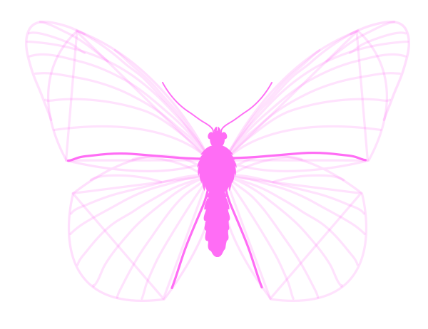 как рисовать крылья бабочки