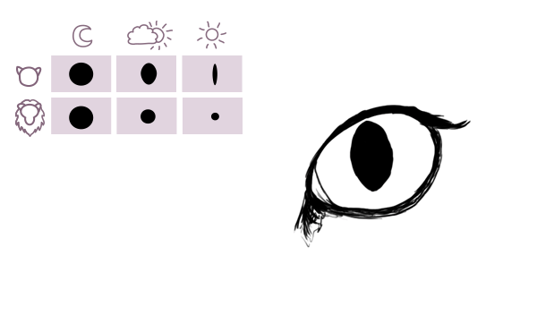 как нарисовать лапку кошки