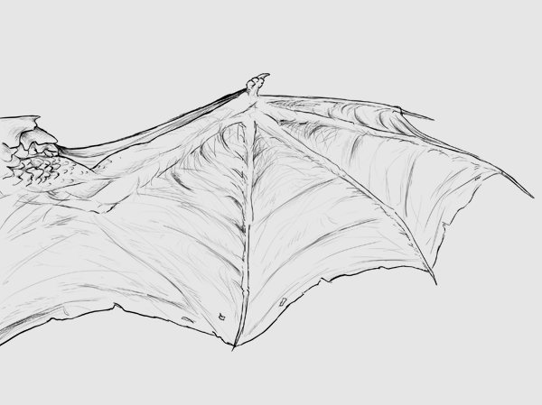 нарисовать крылья на спине