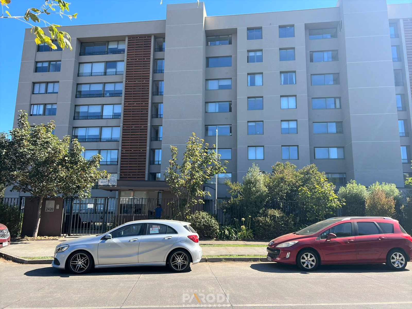 SAN PEDRO DE LA PAZ cg parodi