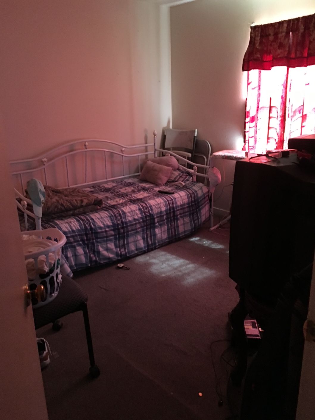 Fourplex Renovation Courtenay Green Interiors