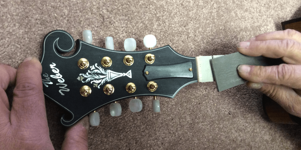 Banjo, Mandolin & Ukulele cgsmusic