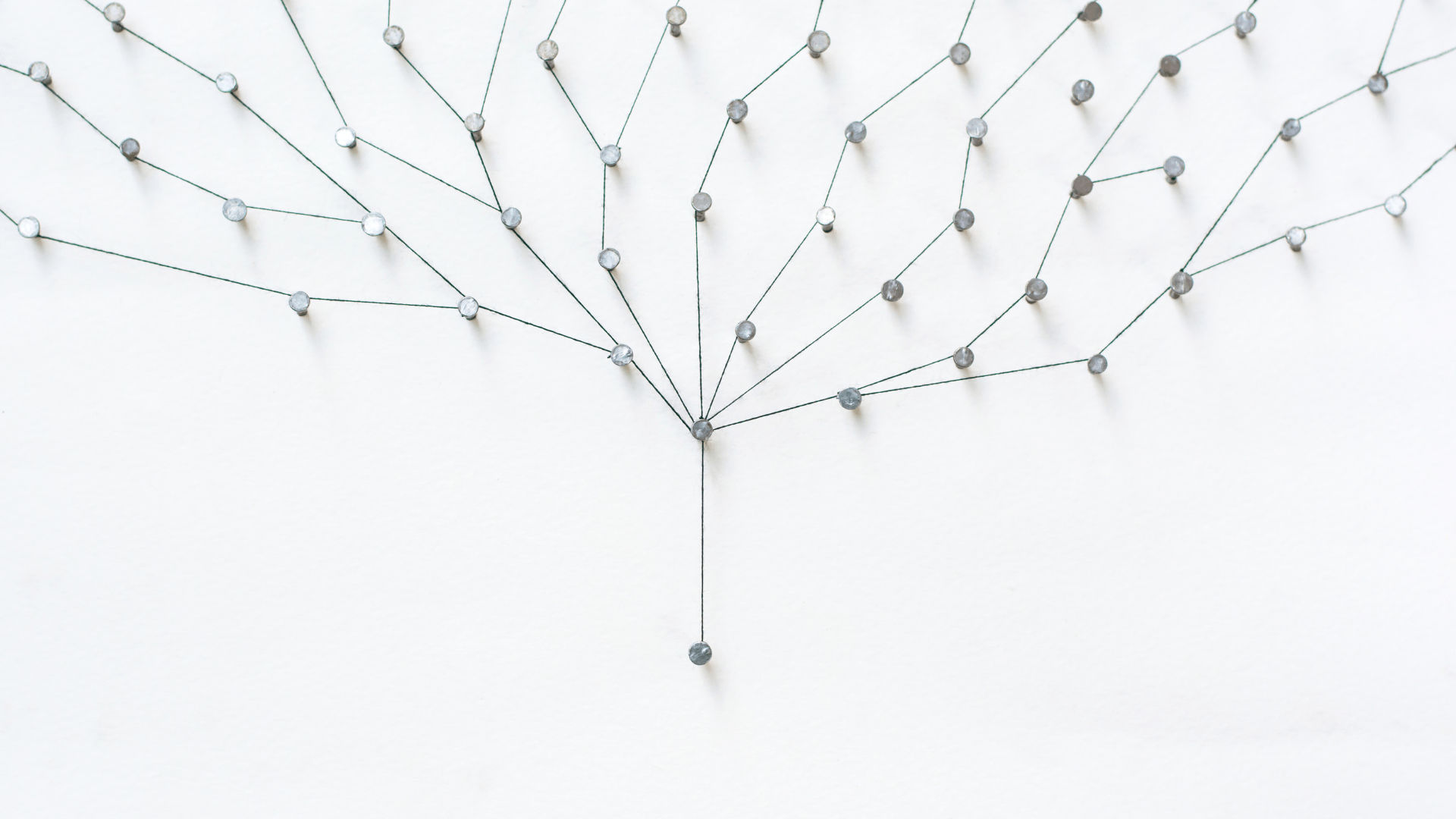 The National Name Exchange CGS